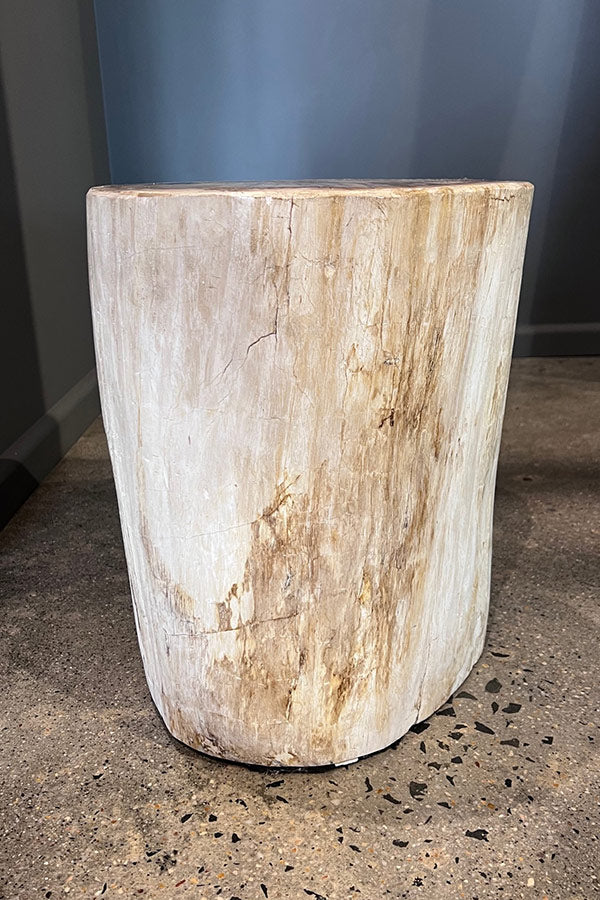 Petrified Wood Side Table. White Wood Turned to Stone