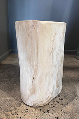 Petrified Wood Side Table. White Wood Turned to Stone