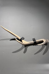 Deer Antler