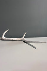 Deer Antler