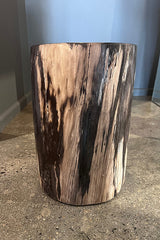 Petrified Wood Stool Black & White (Wood Turned to Stone)