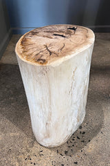 Petrified Wood Side Table. White Wood Turned to Stone